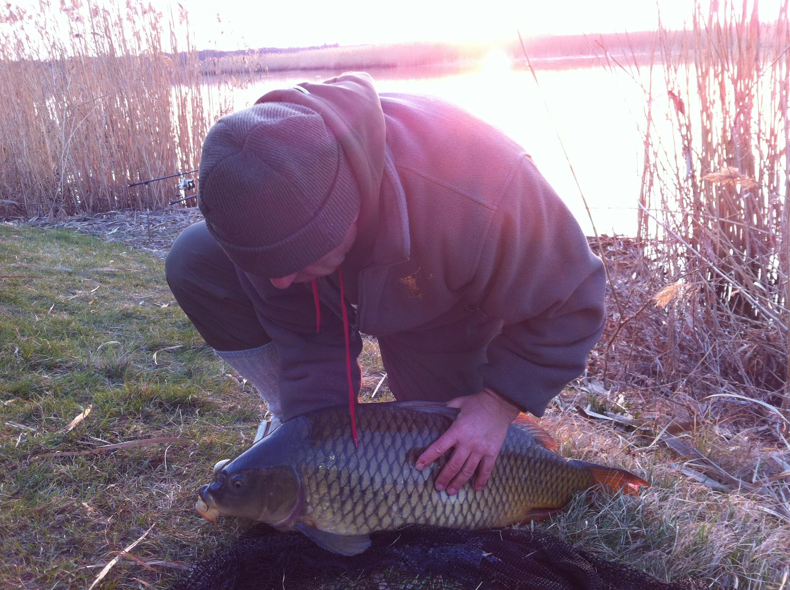 Tancabesti 2012 - aprilie 2012 004.JPG